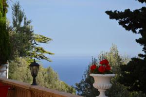 Appartements Villa Azur Cap d'Ail : photos des chambres