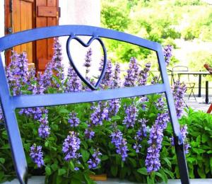 Helicon Muses Friendly Mountain B&B Guesthouse Parnassos Greece