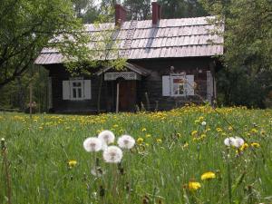 Agroturystyka u Ostrowskich