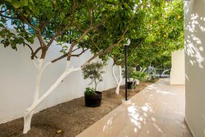 Kostis Villas Poros-Island Greece