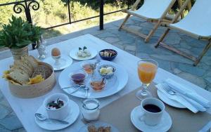 Helicon Muses Friendly Mountain B&B Guesthouse Parnassos Greece