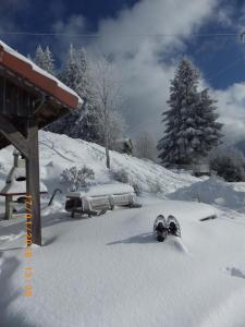 Maisons de vacances gites Les Bleuets : photos des chambres