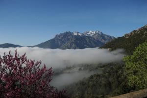 La Ventulella photo 21
