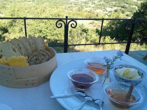 Helicon Muses Friendly Mountain B&B Guesthouse Parnassos Greece