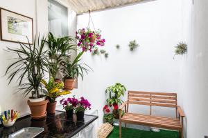 Cosy Flat in City Center