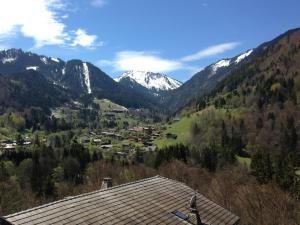Chalets Chalet La Grande Vue : photos des chambres