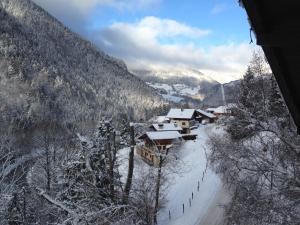 Chalets Chalet La Grande Vue : photos des chambres