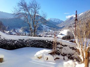 Chalets Chalet La Grande Vue : photos des chambres