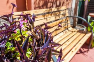 Appartamento su 2 Livelli con 1 Camera da Letto e Balcone