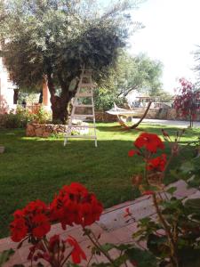 I Ginepri Hotel img60