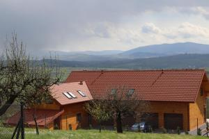 Fantastic View Vineyard Beskid Mountains