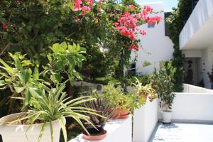 Loukia Apartments & Studios Paros Greece