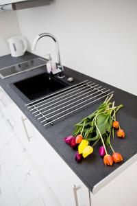 Elegant City Center Zyblikiewicza 14