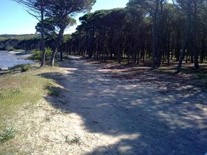 La Locanda Del Mare -Domo- Affittacamere img15