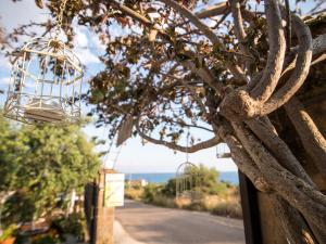 Paradeisos Messinia Greece