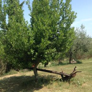 Teruzzi Country House