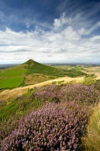 Gisborough Hall Hotel