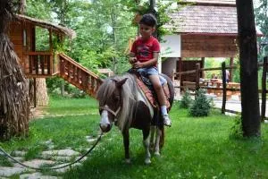 Pensiunea Stejarul - Runcu