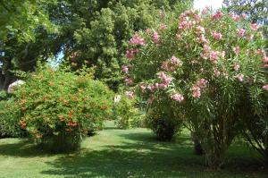 B&B / Chambres d'hotes Le Mas Ferrand : photos des chambres