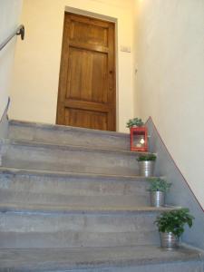 Suite Estándar