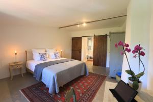 Maisons d'hotes Chateau Olmet : photos des chambres