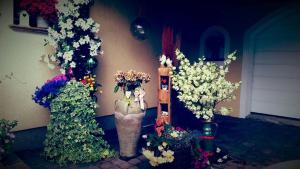 Gästehaus Steinerhof