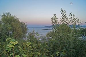 Lagounaris Beach Hotel Zakynthos Greece