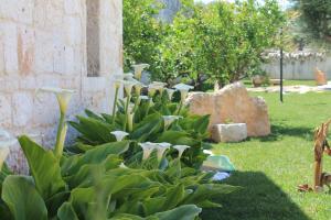 Casa Serena - Relax in Masseria a Monopoli