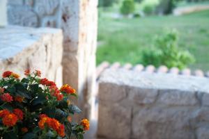 Helen's Stone House Halkidiki Greece