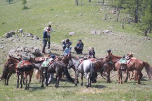 Nomad Horse Camp