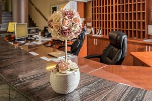 Europa Hotel És Étterem