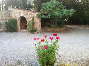 Maisons de vacances Villa Le Niaouli : Maison 3 Chambres