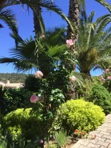 Jacadi - Saint-Michel