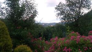 Ognisko Dom Wypoczynkowy