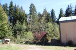 Gîte d'étape et table d'hôtes Les Airelles photo 15