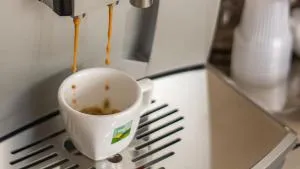 Pousada Serra Nascente do Sol - São Luís