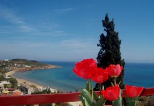 Efta Anemi - Benovias Chios-Island Greece