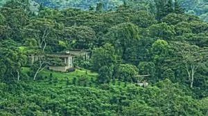 The Guest Suites at Manana Madera - Chumbago