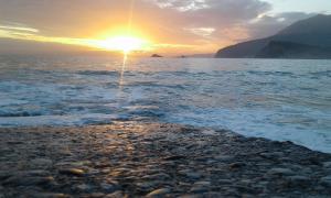 Buljarica Bay Apartments