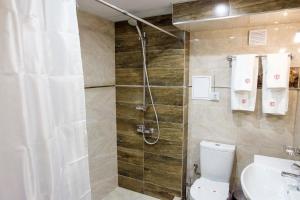 Deluxe Double or Twin Room room in Hotel Elit