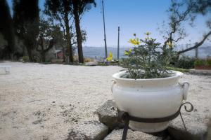 Appartamento con 2 Camere da Letto e Terrazza