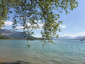 Appartements Suite Grand Hotel Palace Aix les Bains French Alps : photos des chambres