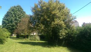 B&B / Chambres d'hotes Vingt Grand Rue : photos des chambres