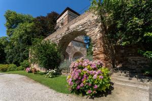 Pension Massimago Wine Tower Padua Italien