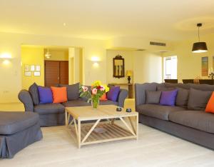Luxury Villa Trapezia