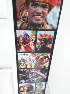 Hotel las Olas Malambo