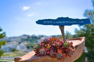B&B Il Giardino Stellato