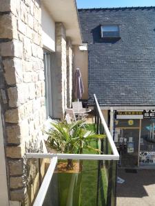 Appartements Gite du Port sur la presqu'ile de Lezardrieux : photos des chambres