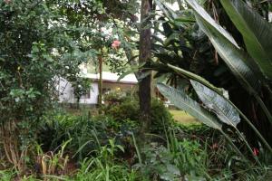 Softwaters Guesthouse Cottages