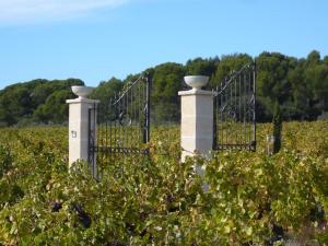 B&B / Chambres d'hotes Chateau de Valloubiere : photos des chambres